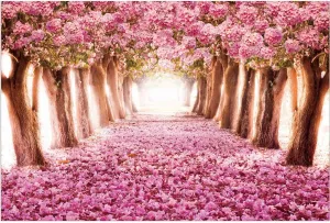 1000 Pieces Wooden Jigsaw Puzzles for Adults Imagination Series Puzzle Toys DIY Signature Constellation Puzzles for Creative Gift Home Decor - Cherry Trees Forest Landscape Romantic Pink Sakura
