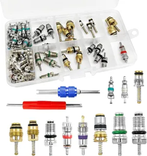 102Pcs Air Conditioning Valve Core - Valve Cores Accessories A/C R12 R134a Accessories Kit, Automotive Air Conditioning Refrigeration Tire Valve Stem Cores Repair Tool Assortment Kit