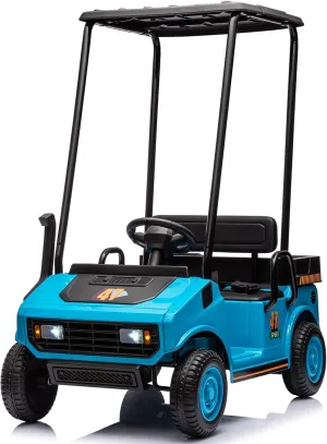 12V 7AH Kids Golf Cart with Remote Control, 2WD Ride on Toys for Boys Girls, 2 Seater Battery Powered Ride on Car with Music Player, Plastic Roof, Horn (Blue)