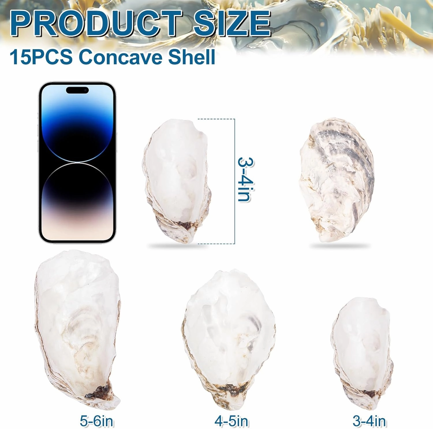 15PCS Oyster Shells 3"-4" Concave Oyster Shells for Crafts Natural Oyster Shells Bulk, for Home Vase Filler, Xmas Ornaments, DIY Arts and Crafts Sea Shells