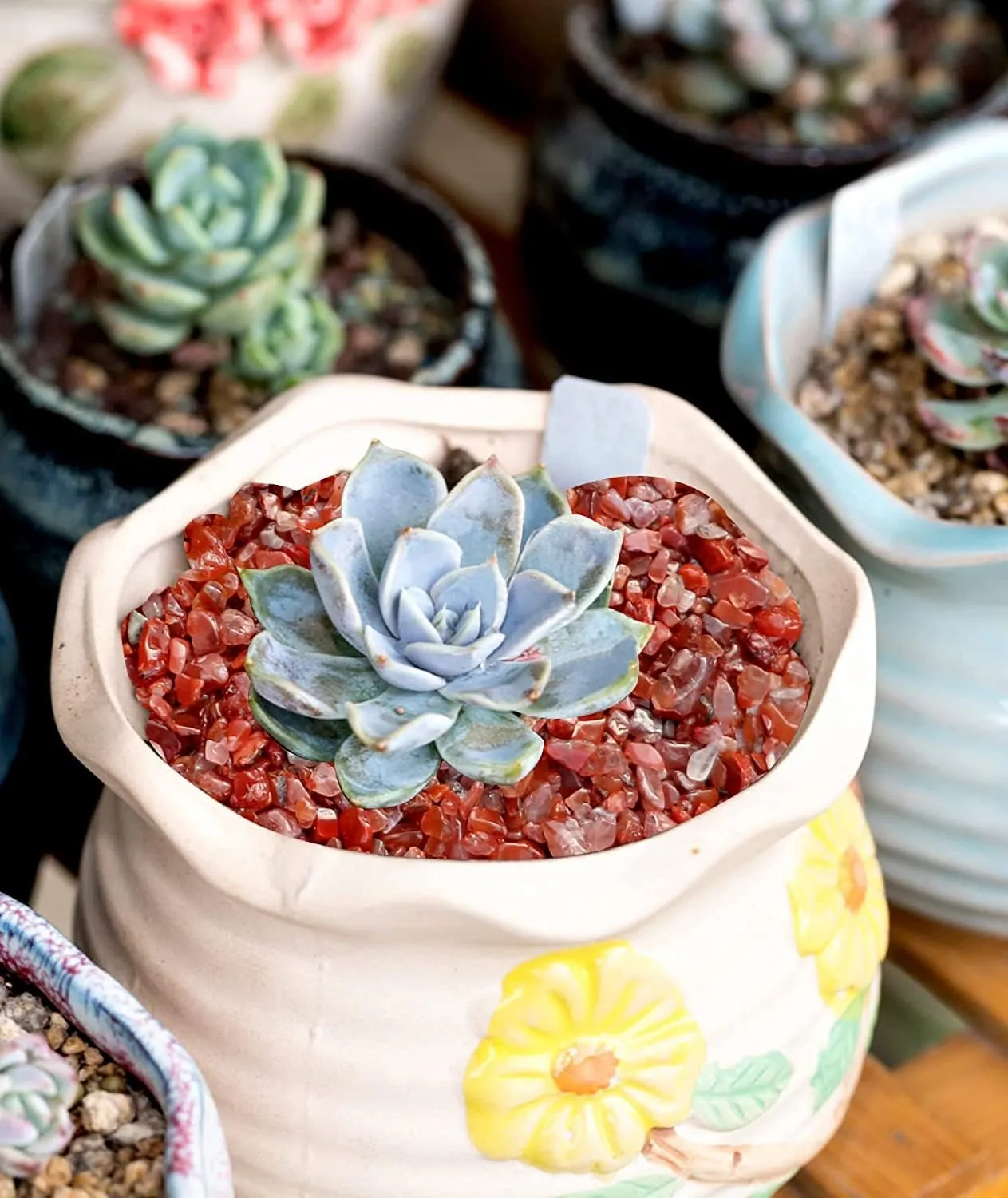 6lb Red Polished Rocks Crystal Crushed Pieces Natural Quartz Pebbles Small Tumbled Chip Gravel Succulent Cactus Bonsai Top Dressing Plant Landscape Terrarium Supplies for Home Decoration Vase Filler