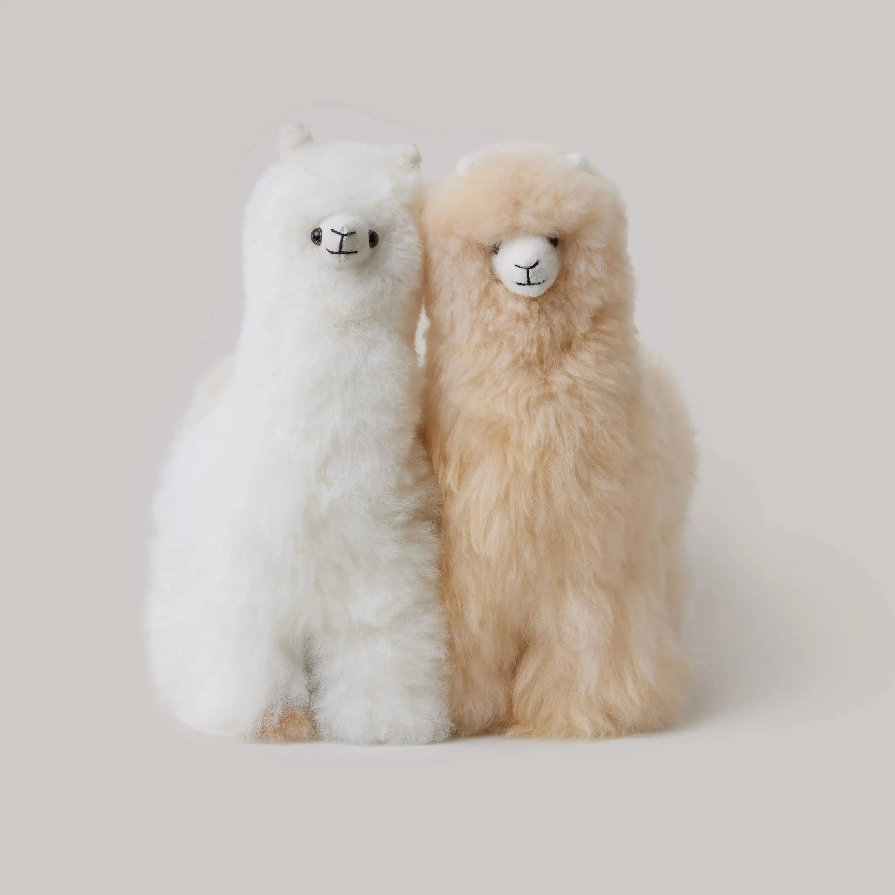 Alpaca Llama