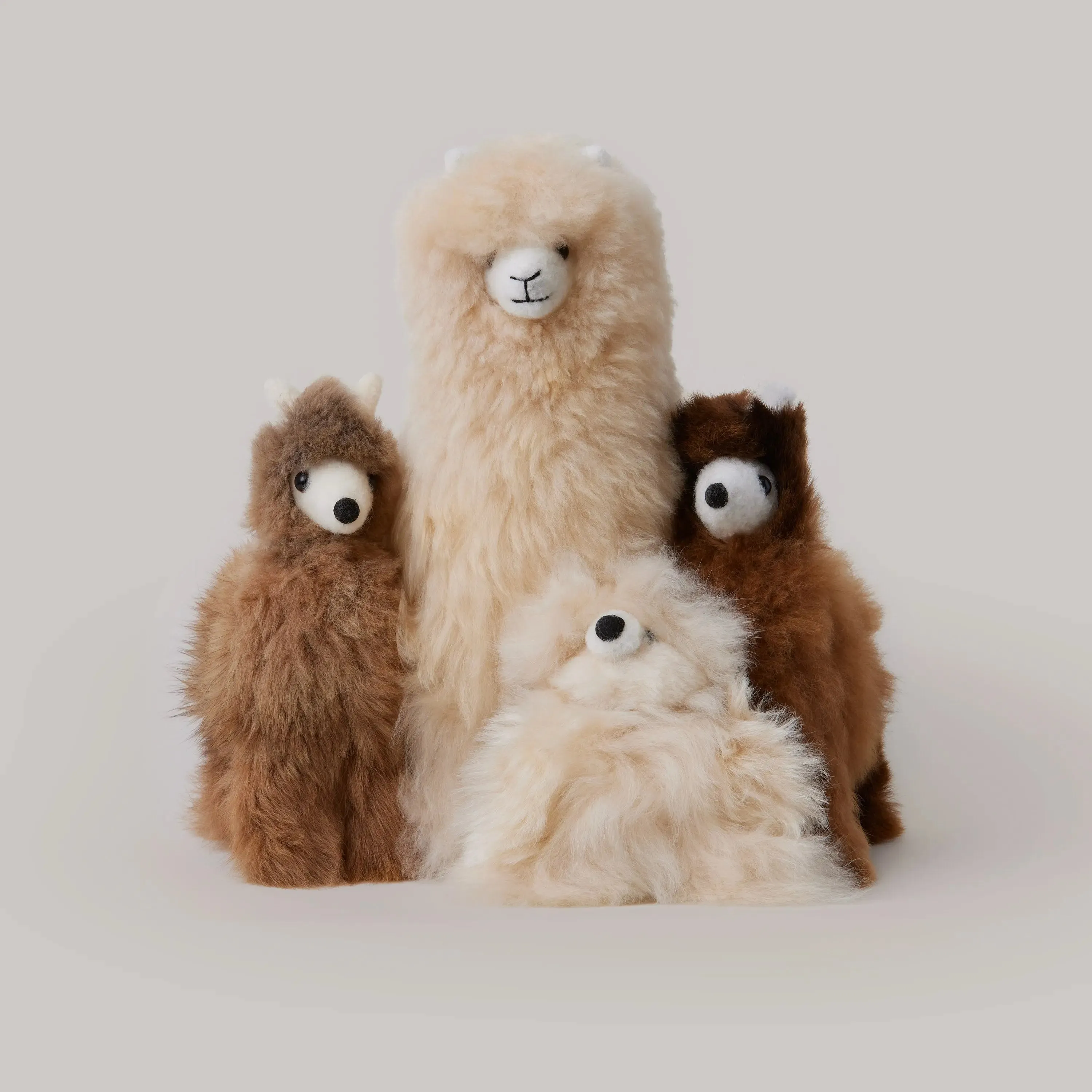 Alpaca Llama