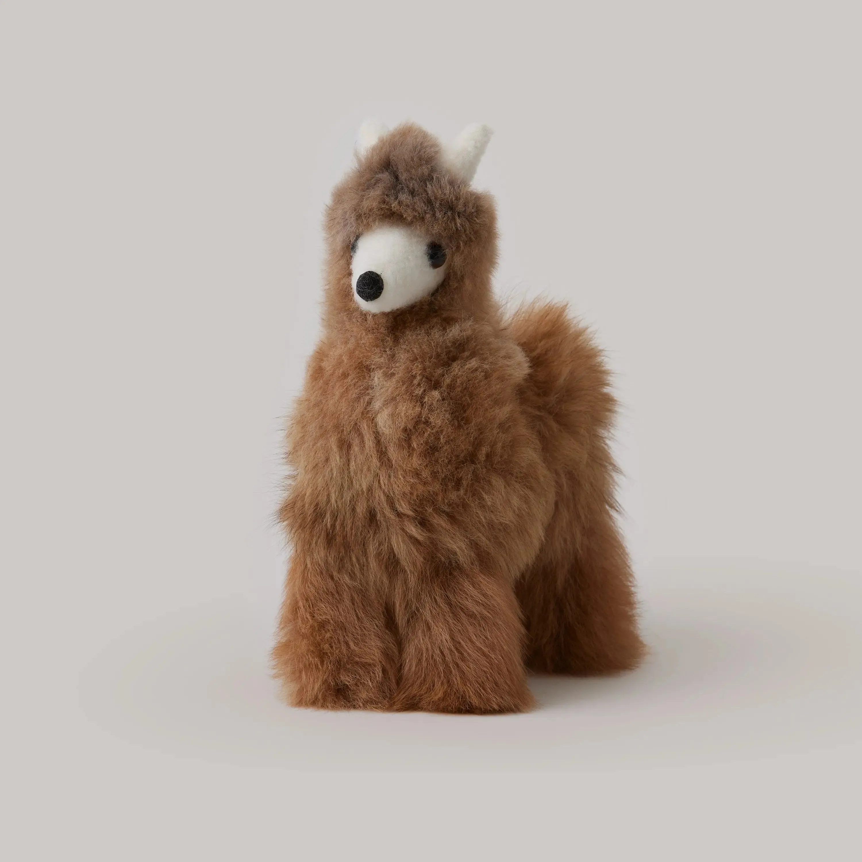 Alpaca Llama