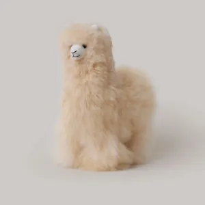 Alpaca Llama