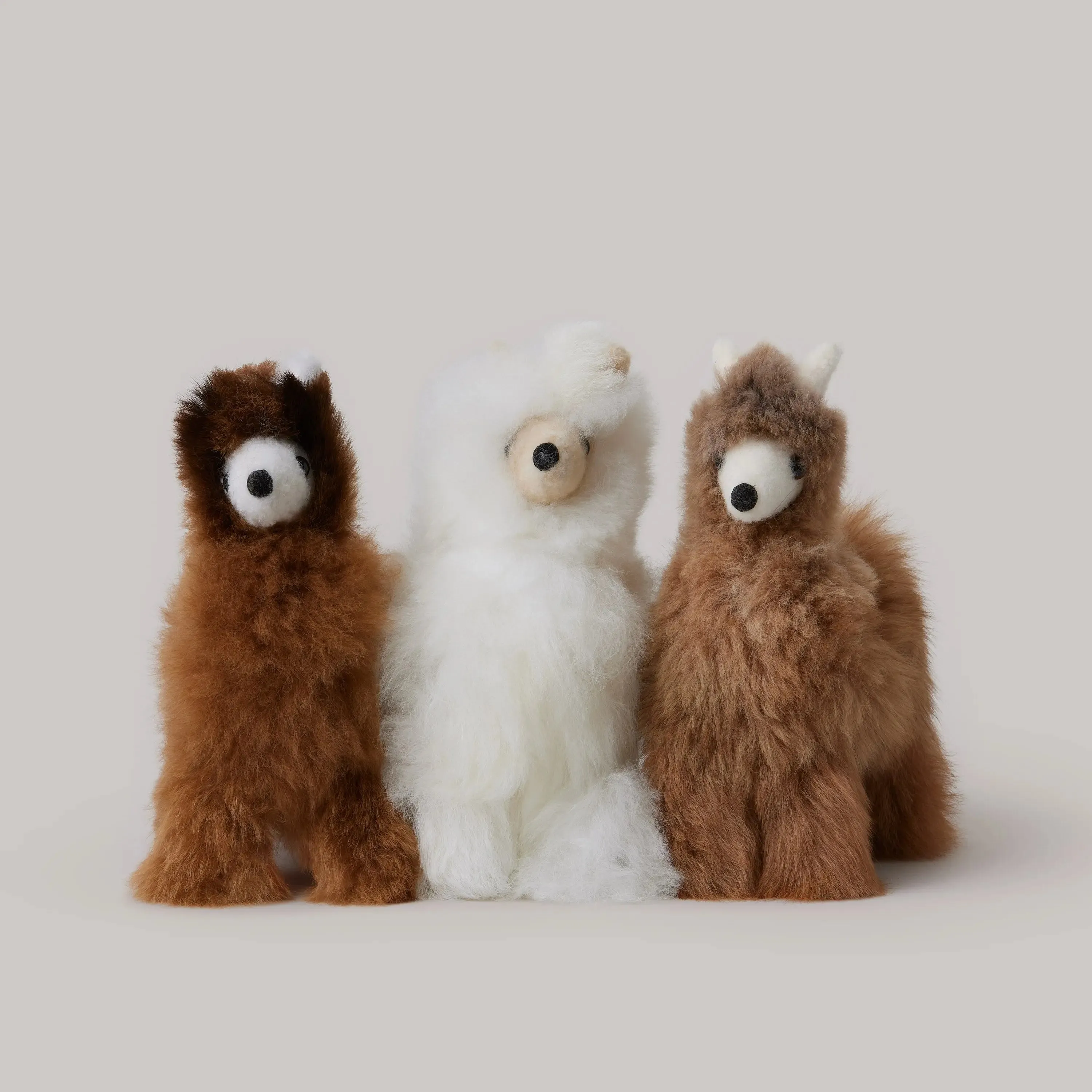 Alpaca Llama