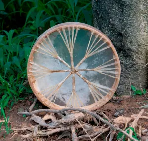 ARAW American Shamanic Native Drum Bison Natural Hide (14 Inches Diameter X 3 Inches Depth)