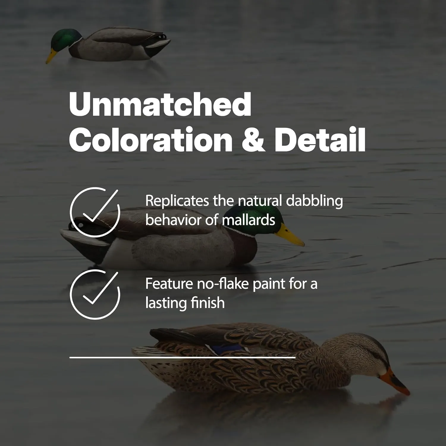 Avian X Topflight Backwater Mallards Duck Decoys Pack, Ultra Realistic Floating Mallard Hunting Decoy, 3 Feeding Postures