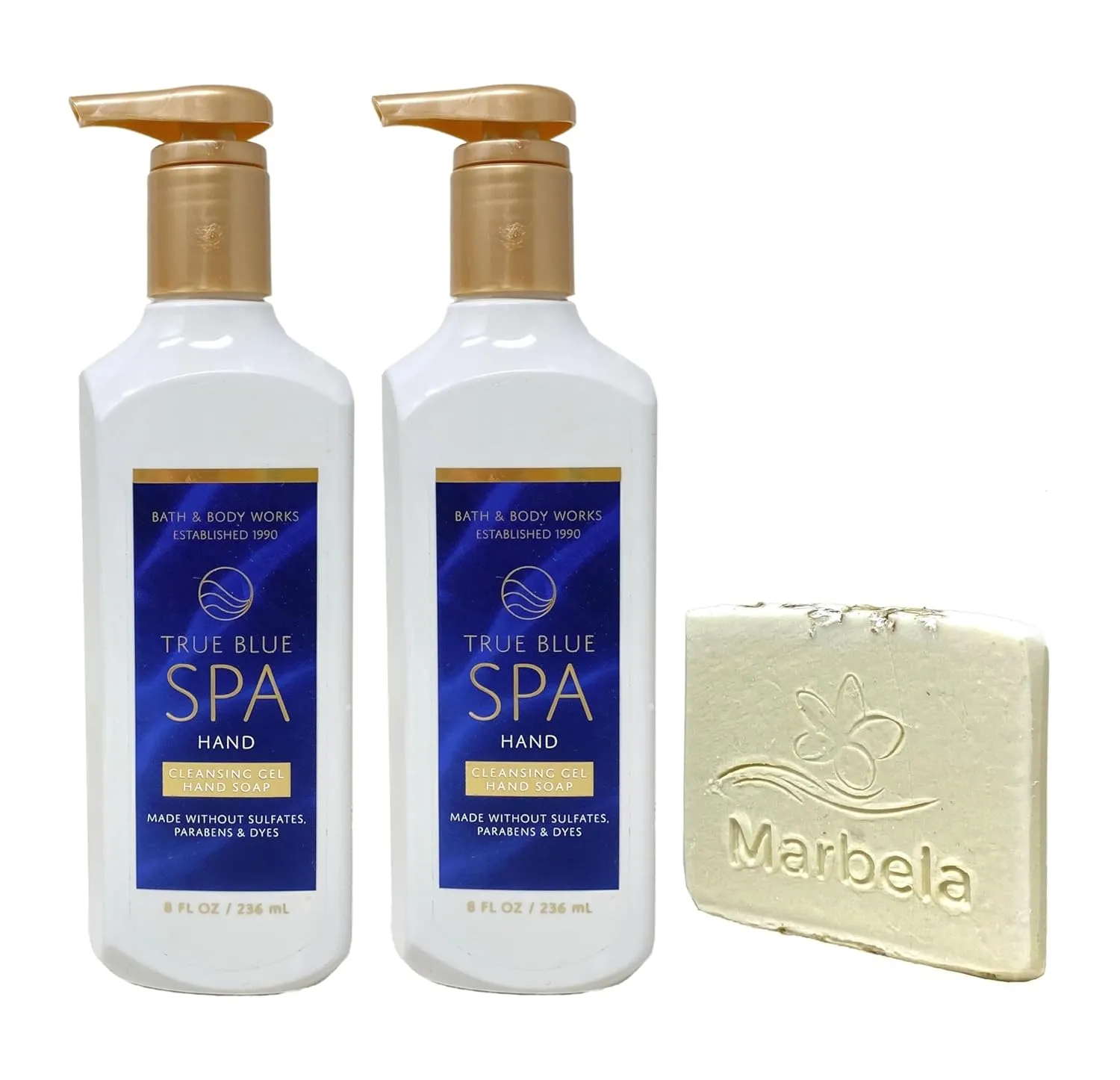 Bath & Body Works True Blue Spa 2 Piece Cleansing Gel Hand Soap Set with a Natural Oats Sample Soap