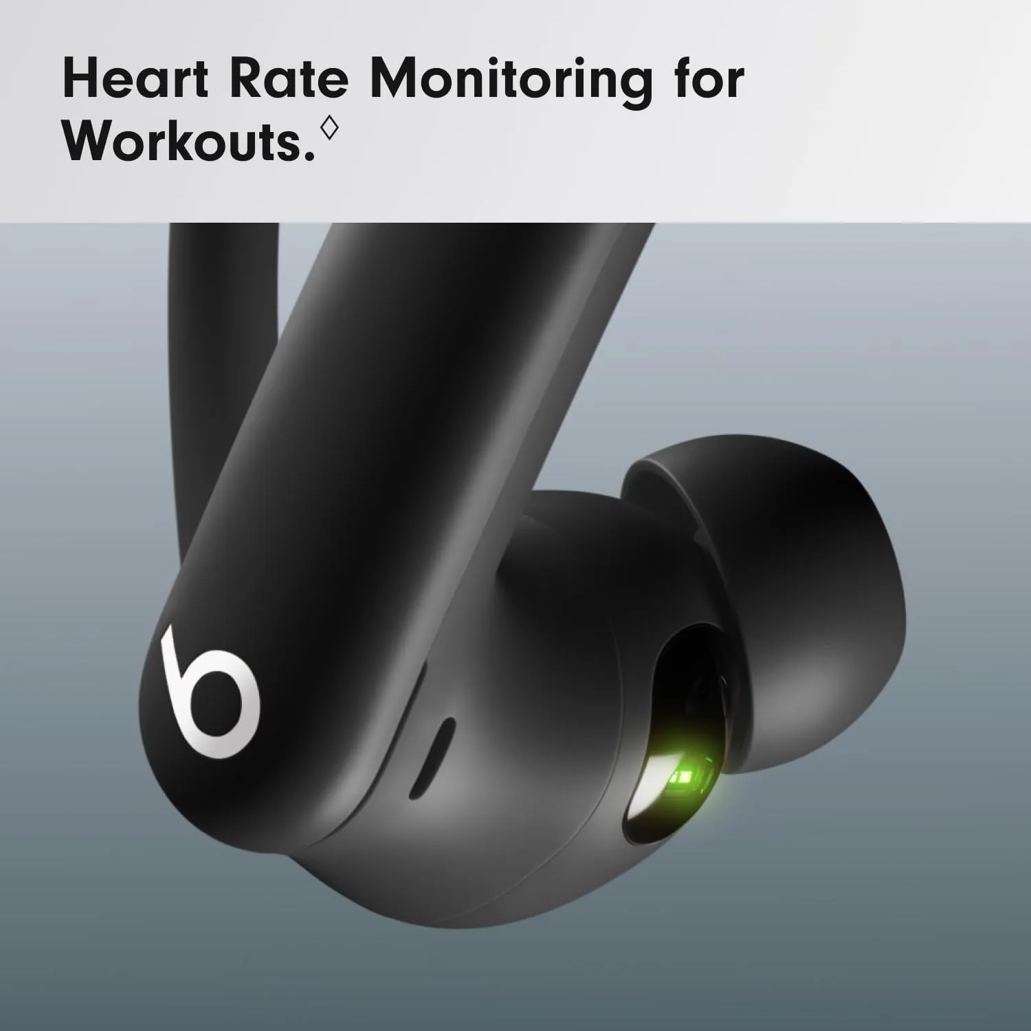 Beats Powerbeats Pro 2 Wireless Bluetooth Earbuds with AppleCare  (2 years) - Jet Black