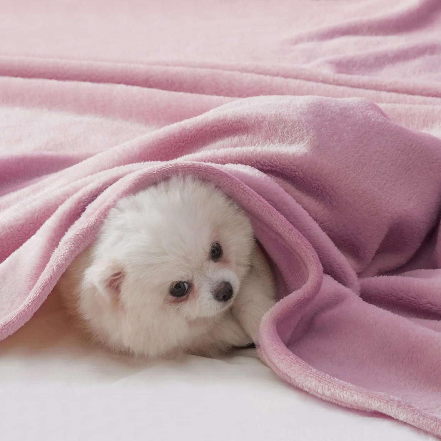 BEAUTEX Fleece Blanket Queen Size Super Soft Flannel Throw Blanket Lightweight Fuzzy Plush Blanket for Couch Sofa or Bed All Seasons (Dusty Pink, 90" x 90")