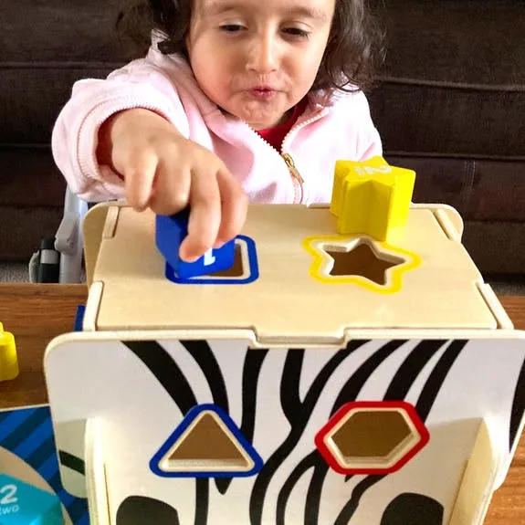 Bee Smart Wooden Zebra Shape Sorter