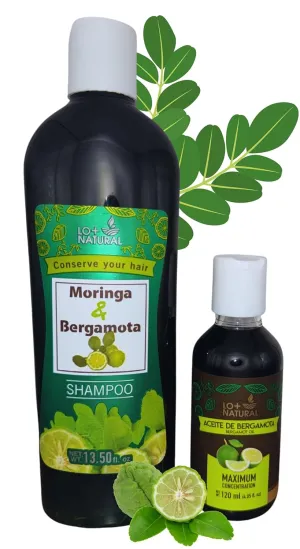 Bergamota & Moringa Shampoo (13.50 fl oz)   Bergamot Oil (Aceite de Bergamota 4.05 fl oz) Combo - Natural Ingredients - Premium Quality,