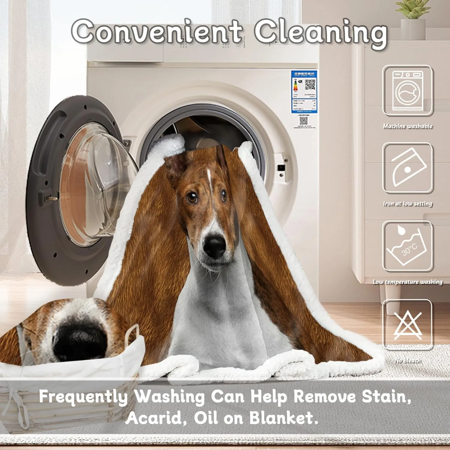 BlessLiving Basenji Throw Soft Blanket Sherpa Fleece Lined Blanket Pet and Dog Lovers Home Throw Blankets (Twin, 60 x 80 Inches)