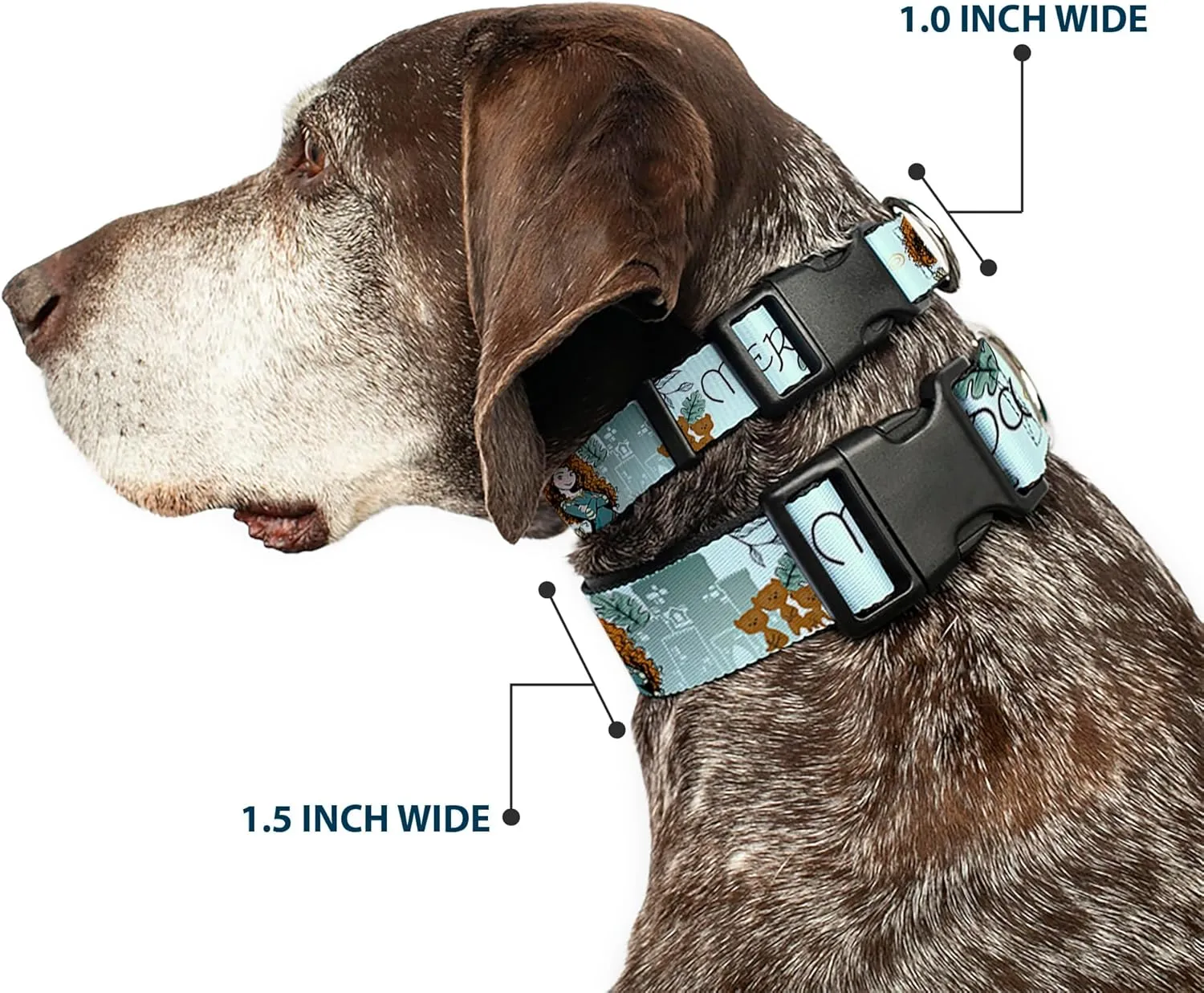 Buckle-Down Dog Collar Plastic Clip Brave Merida Castle and Three Bear Brothers Pose with Script 11 to 16.5 Inches 1.0 Inch Wide