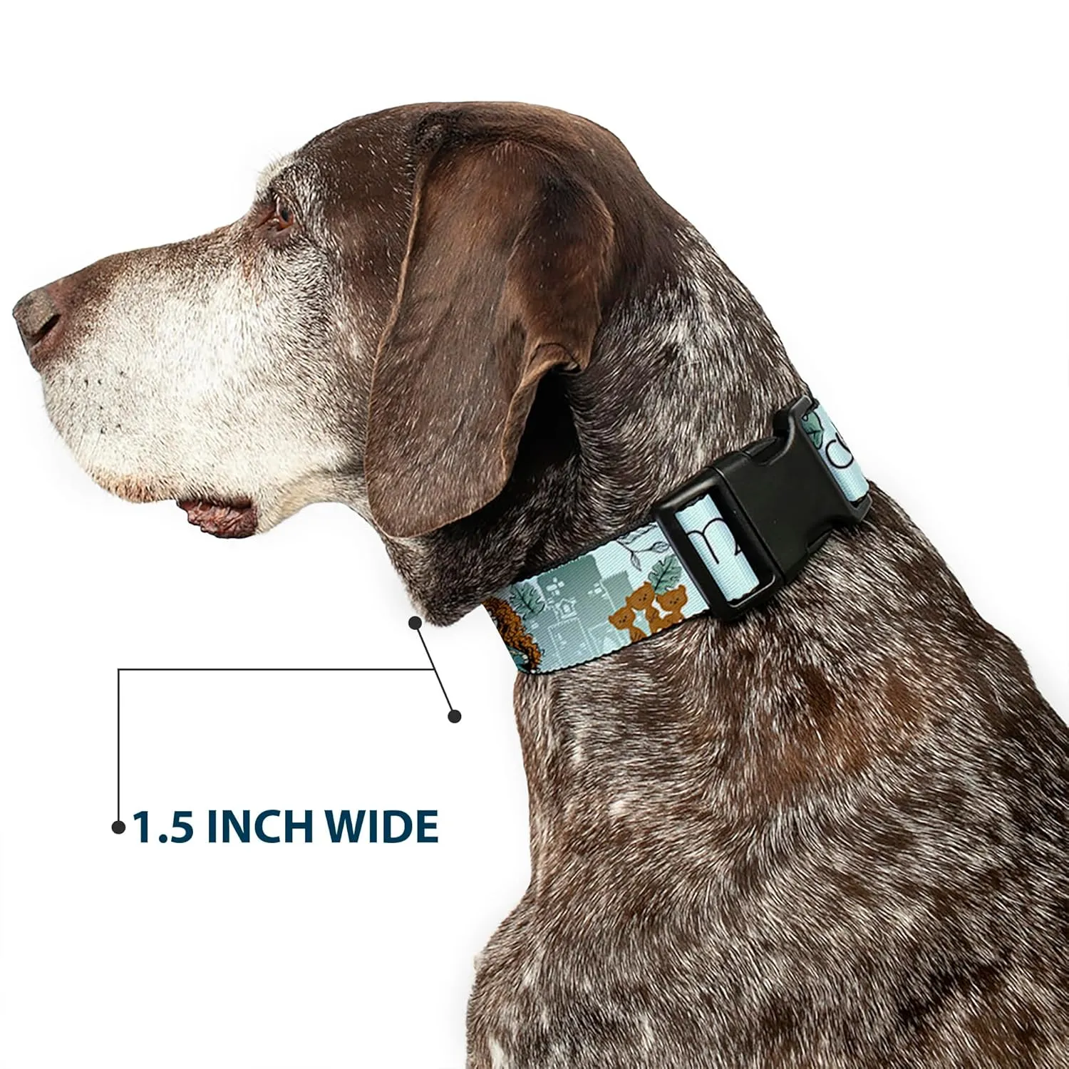 Buckle-Down Dog Collar Plastic Clip Brave Merida Castle and Three Bear Brothers Pose with Script 11 to 16.5 Inches 1.0 Inch Wide