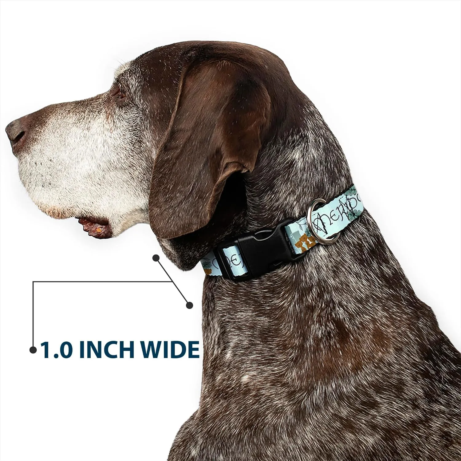 Buckle-Down Dog Collar Plastic Clip Brave Merida Castle and Three Bear Brothers Pose with Script 11 to 16.5 Inches 1.0 Inch Wide