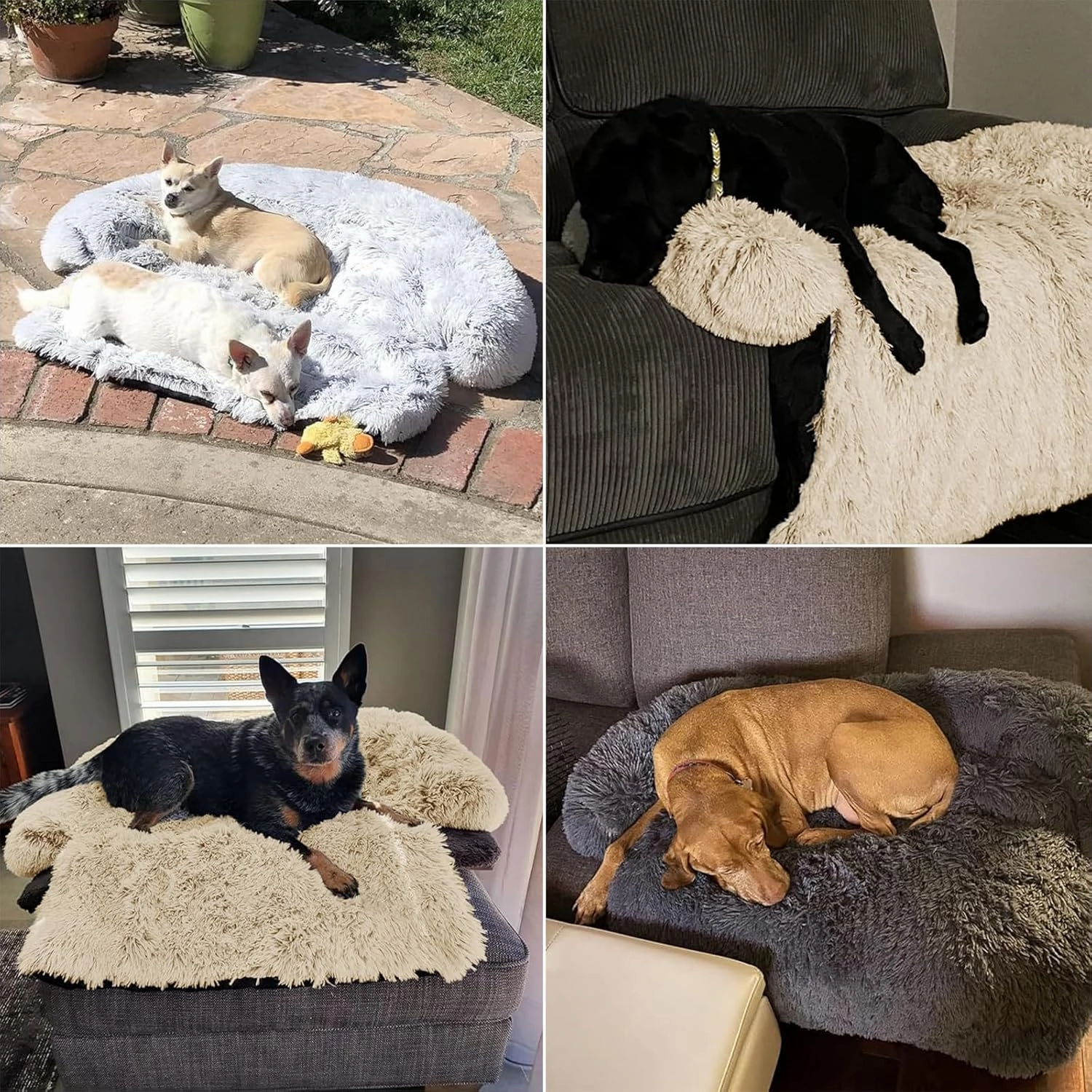 Calming Dog Bed Fluffy Plush Dog Mat for Furniture Protector with Removable Washable Cover for Large Medium Small Dogs and Cats (Large, Beige)