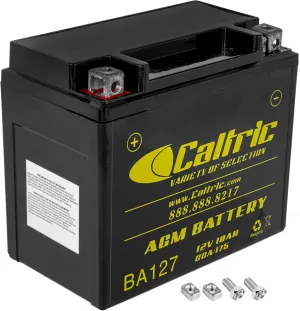 Caltric Agm Battery Compatible with Honda Trx 250 Te Recon 250 2X4 Es 2002 2003 2004 2005-2016