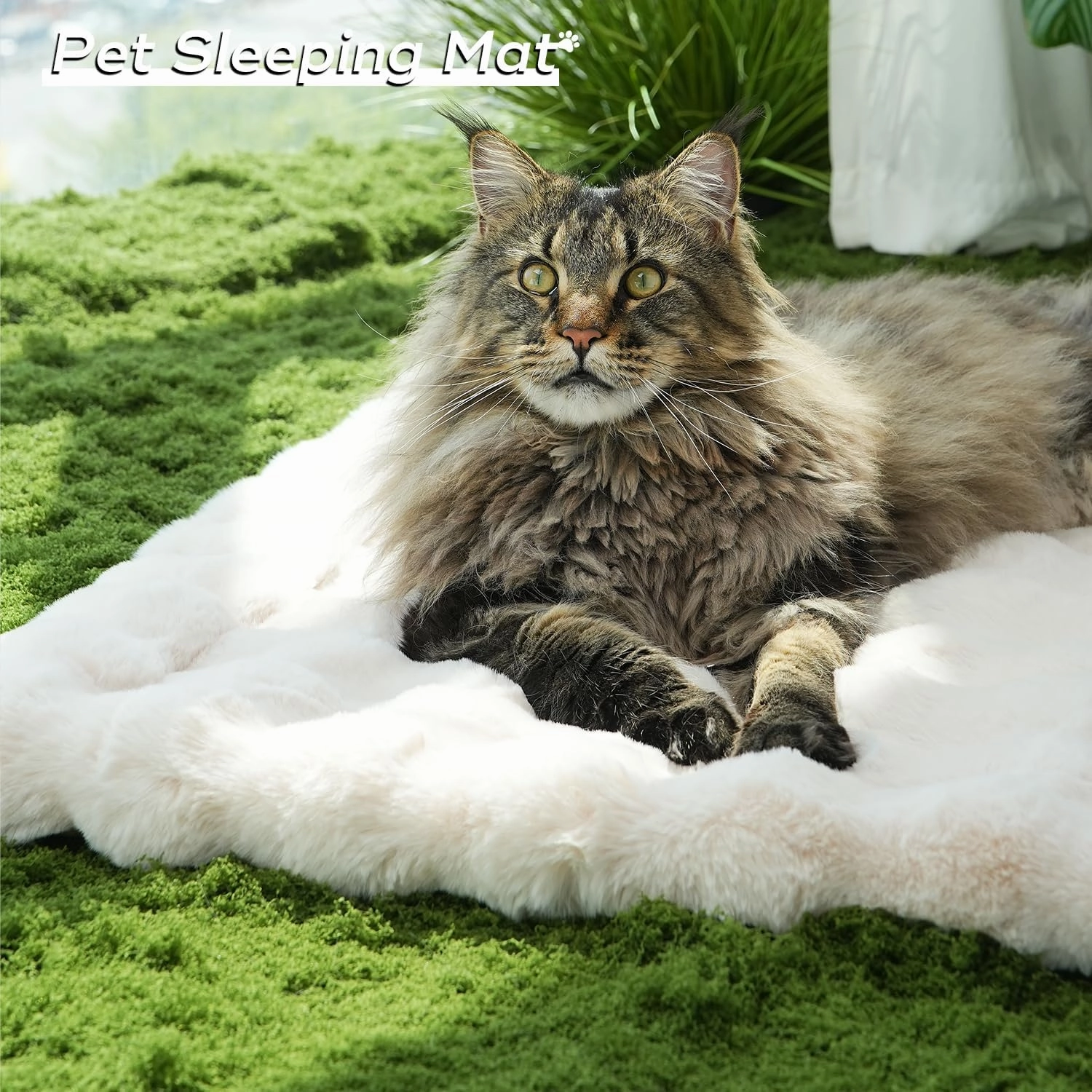 Cat Beds Cozy Pet Mat Faux Fur Kitten Pad Bed for Carriers/Couch Dog & Puppy Cute Friendly 23 x 15 Inch Medium White