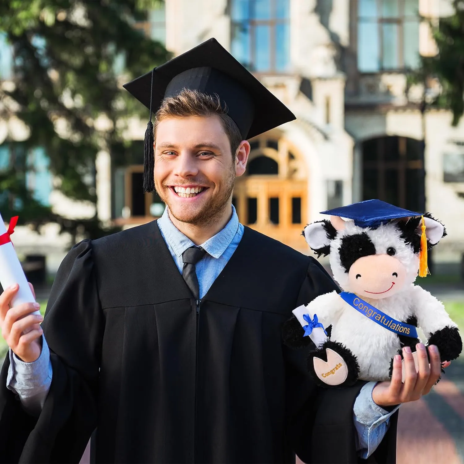 Chalyna 10 Inch Graduation Season Cow Plush Stuffed Animal Cow with Hat, Diploma and Sash, Graduation Gift Decoration for Friend Relatives Party (Blue)