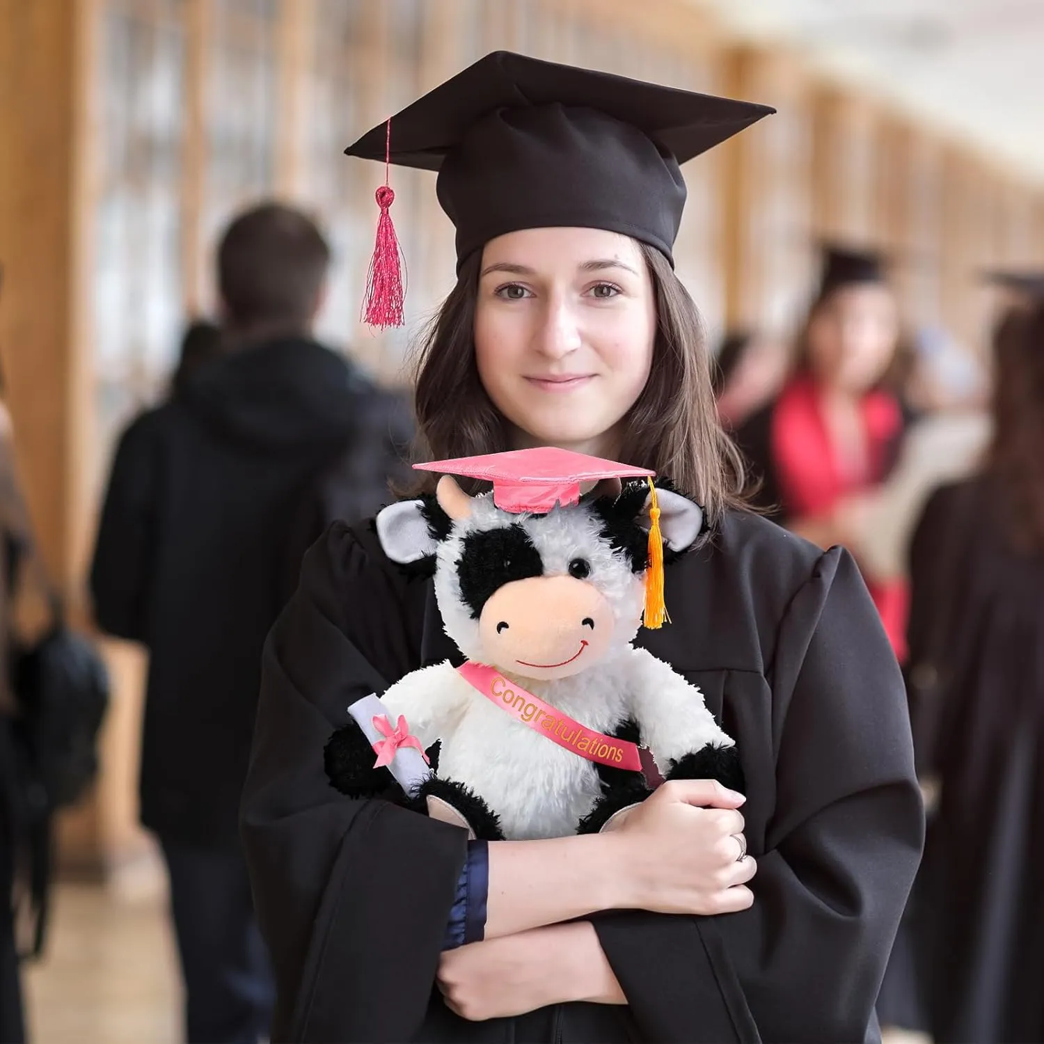 Chalyna 10 Inch Graduation Season Cow Plush Stuffed Animal Cow with Hat, Diploma and Sash, Graduation Gift Decoration for Friend Relatives Party(Pink)