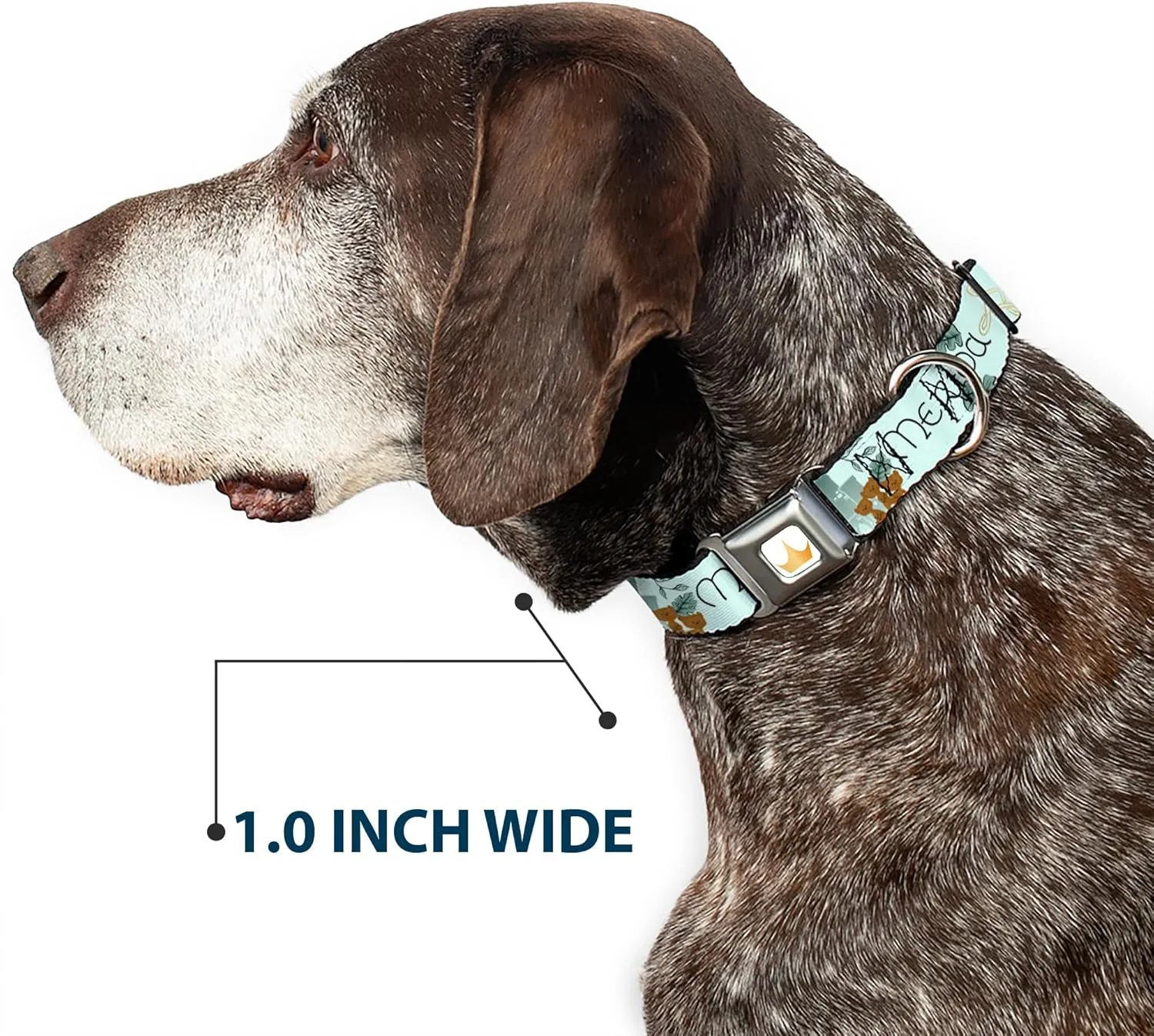 Dog Collar Seatbelt Buckle Brave Merida Castle and Three Bear Brothers Pose with Script 9.5 to 13 Inches 1.0 Inch Wide