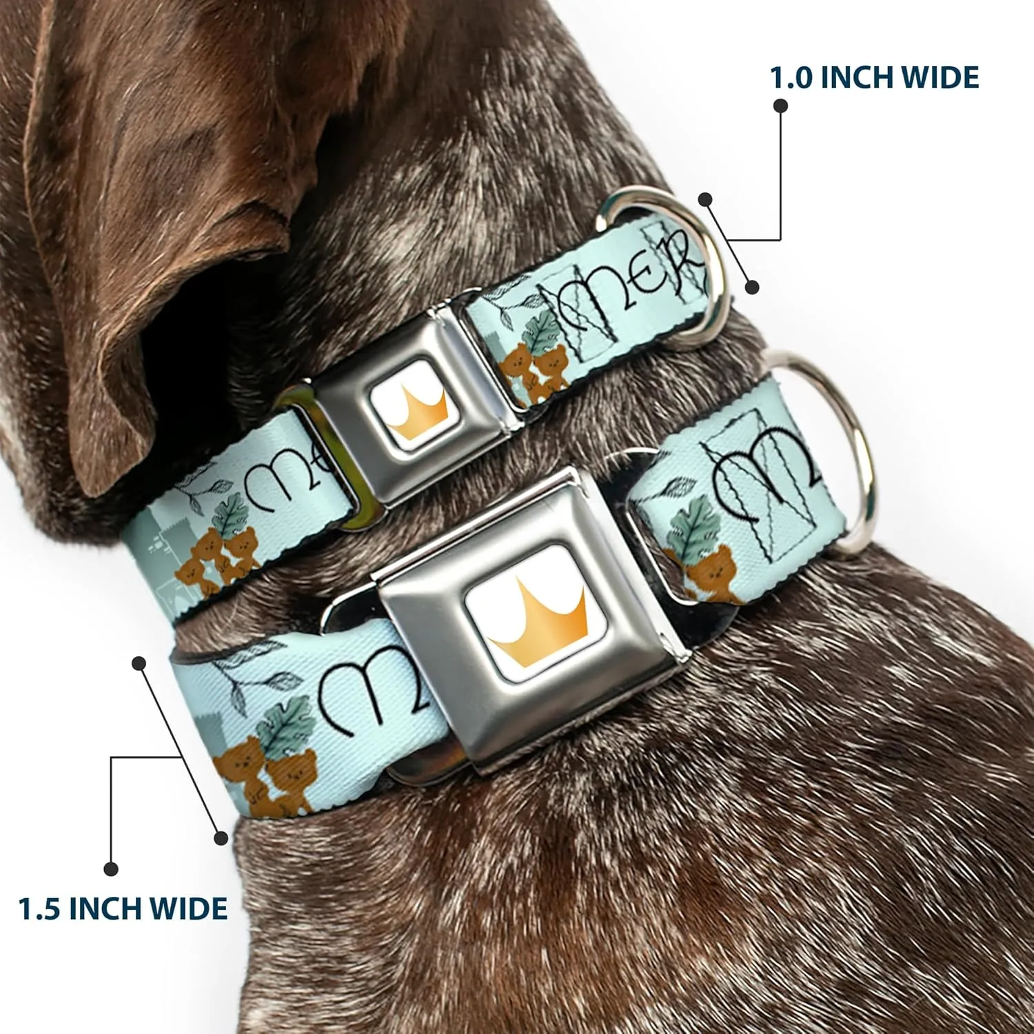 Dog Collar Seatbelt Buckle Brave Merida Castle and Three Bear Brothers Pose with Script 9.5 to 13 Inches 1.0 Inch Wide
