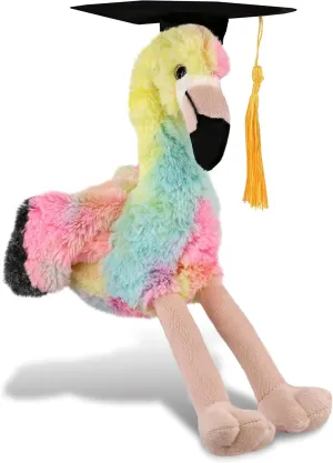 DolliBu Rainbow Flamingo Graduation Plush Toy Stuffed Animal - Graduation Gift Stuff Animal Plush Toys with Cap with Tassel Outfit - Cute Graduation Gifts with Personalization - 8 Inches