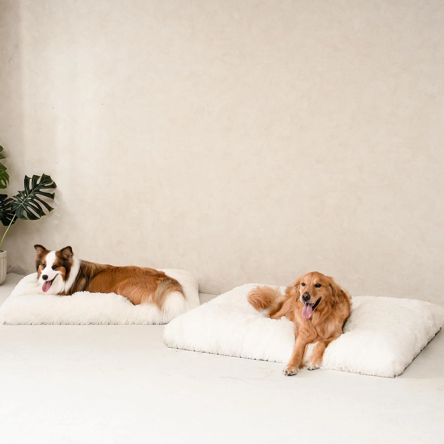 EHEYCIGA Fluffy Dog Crate Bed for Small Dogs, Plush Faux Fur Crate Pad, Calming Anti Anxiety Small Dog Bed, Washable Soft Warm Mat with Non-Slip Bottom, Beige