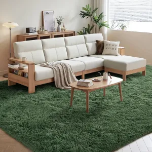 FinRèc Green Rugs for Living Room Bedroom, 3x5 Feet Fluffy Fuzzy Shag Rug, Non-Slip Furry Shaggy Area Rug for Nursery Kids Room Dorm Room Home Decor, Indoor Floor Carpet