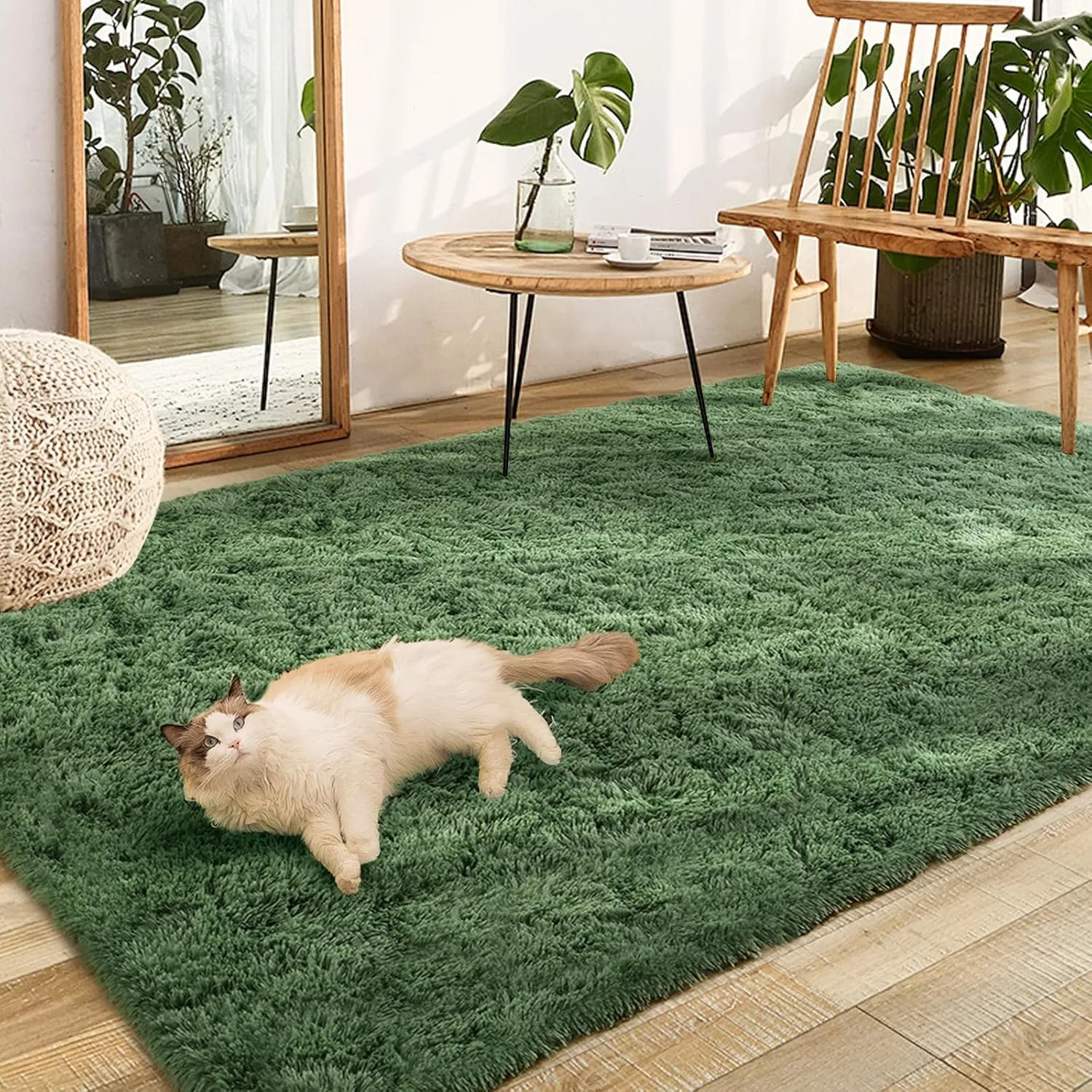 FinRèc Green Rugs for Living Room Bedroom, 3x5 Feet Fluffy Fuzzy Shag Rug, Non-Slip Furry Shaggy Area Rug for Nursery Kids Room Dorm Room Home Decor, Indoor Floor Carpet