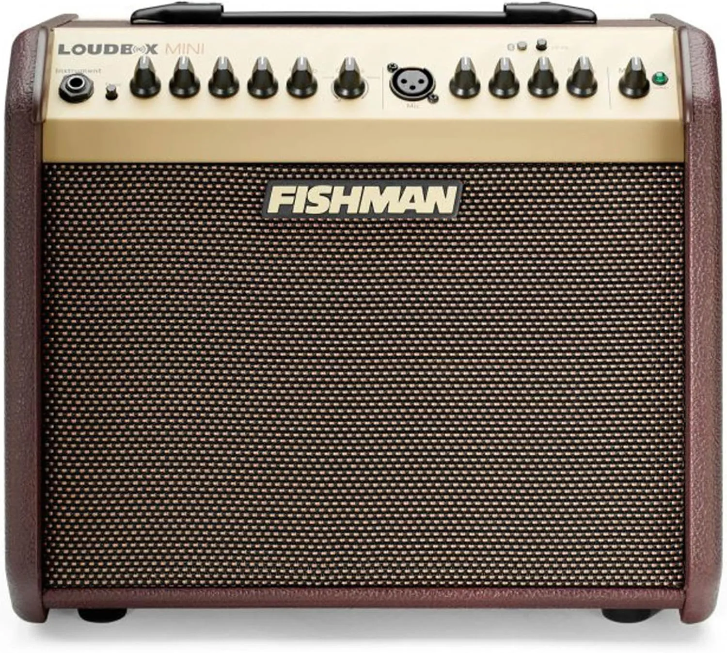 Fishman Loudbox Mini Guitar Combo Amplifier Bundle with XLR Cable, Instrument Cable, and Austin Bazaar Polishing Cloth