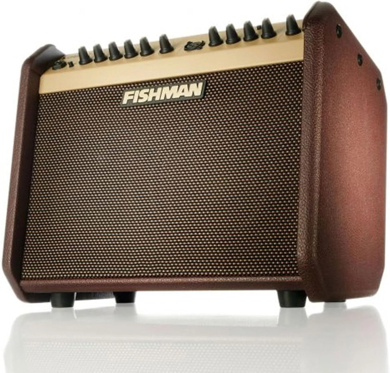 Fishman Loudbox Mini Guitar Combo Amplifier Bundle with XLR Cable, Instrument Cable, and Austin Bazaar Polishing Cloth