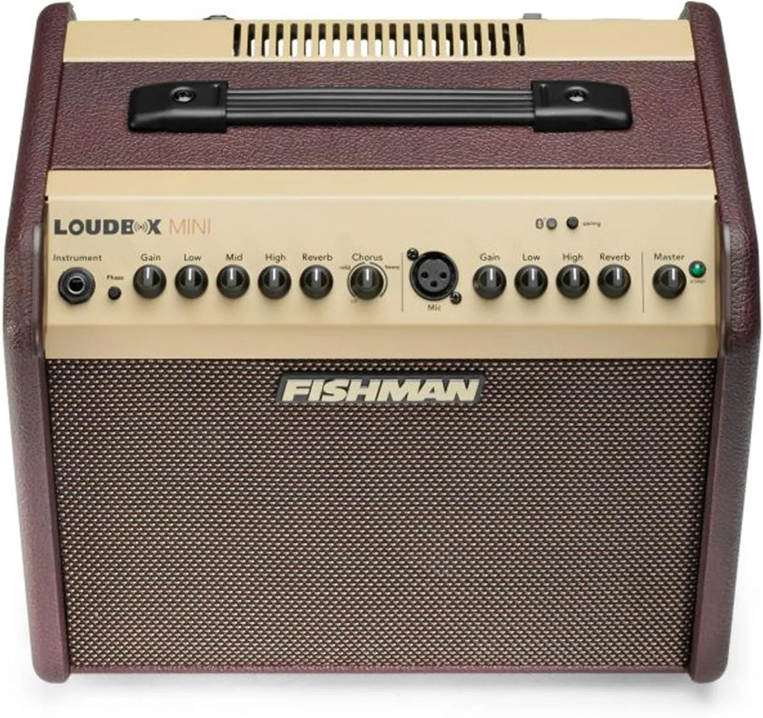 Fishman Loudbox Mini Guitar Combo Amplifier Bundle with XLR Cable, Instrument Cable, and Austin Bazaar Polishing Cloth