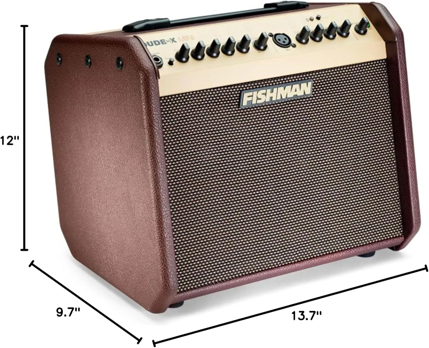 Fishman Loudbox Mini Guitar Combo Amplifier Bundle with XLR Cable, Instrument Cable, and Austin Bazaar Polishing Cloth