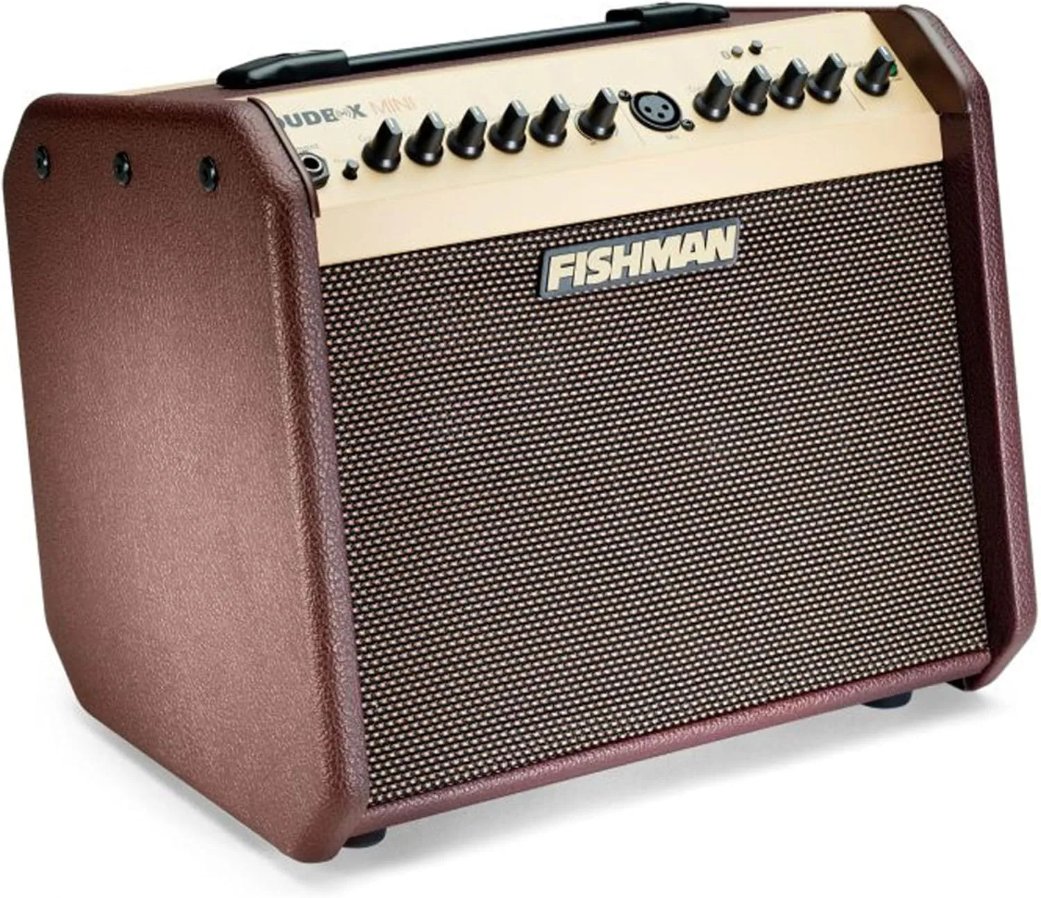 Fishman Loudbox Mini Guitar Combo Amplifier Bundle with XLR Cable, Instrument Cable, and Austin Bazaar Polishing Cloth