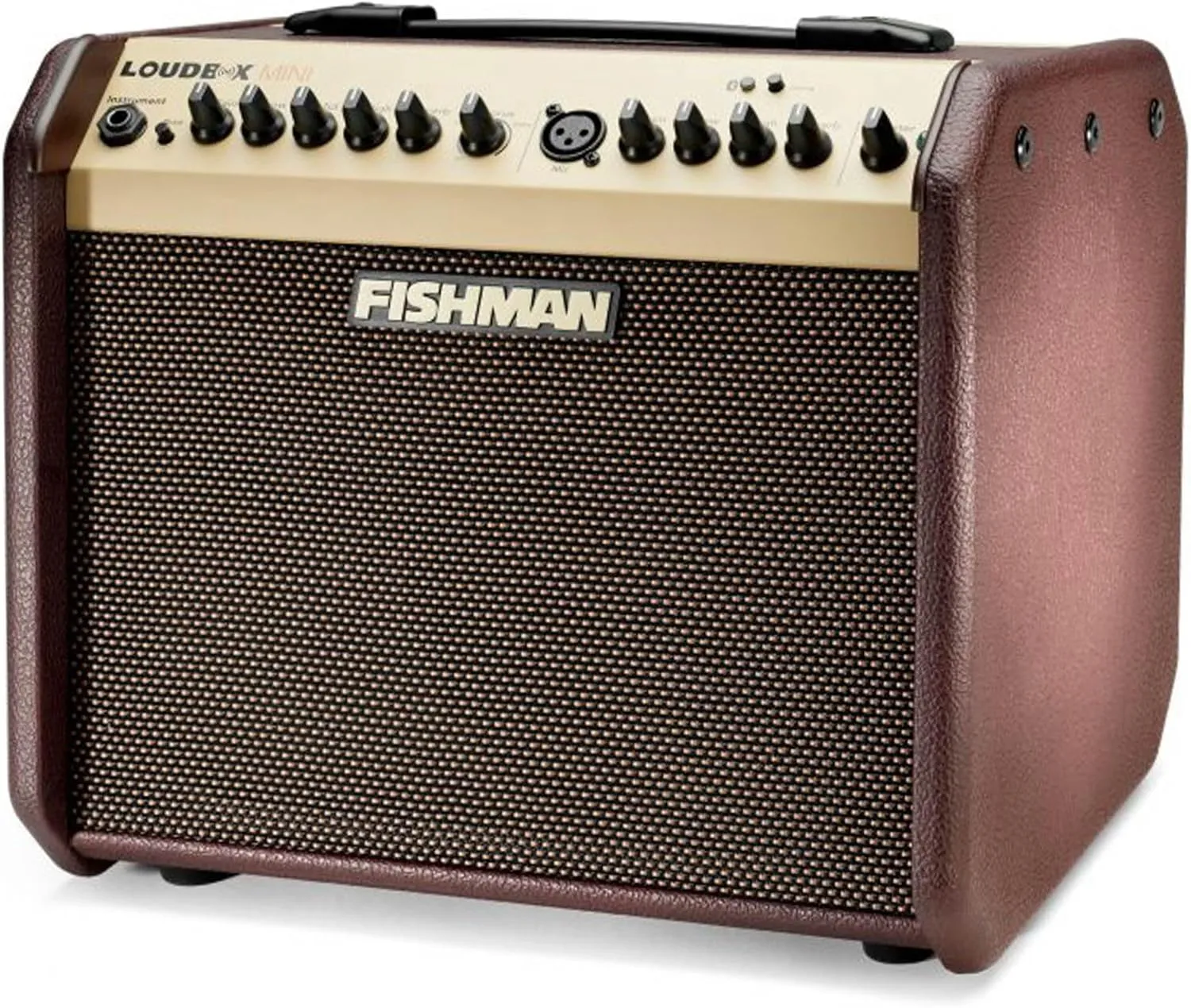Fishman Loudbox Mini Guitar Combo Amplifier Bundle with XLR Cable, Instrument Cable, and Austin Bazaar Polishing Cloth