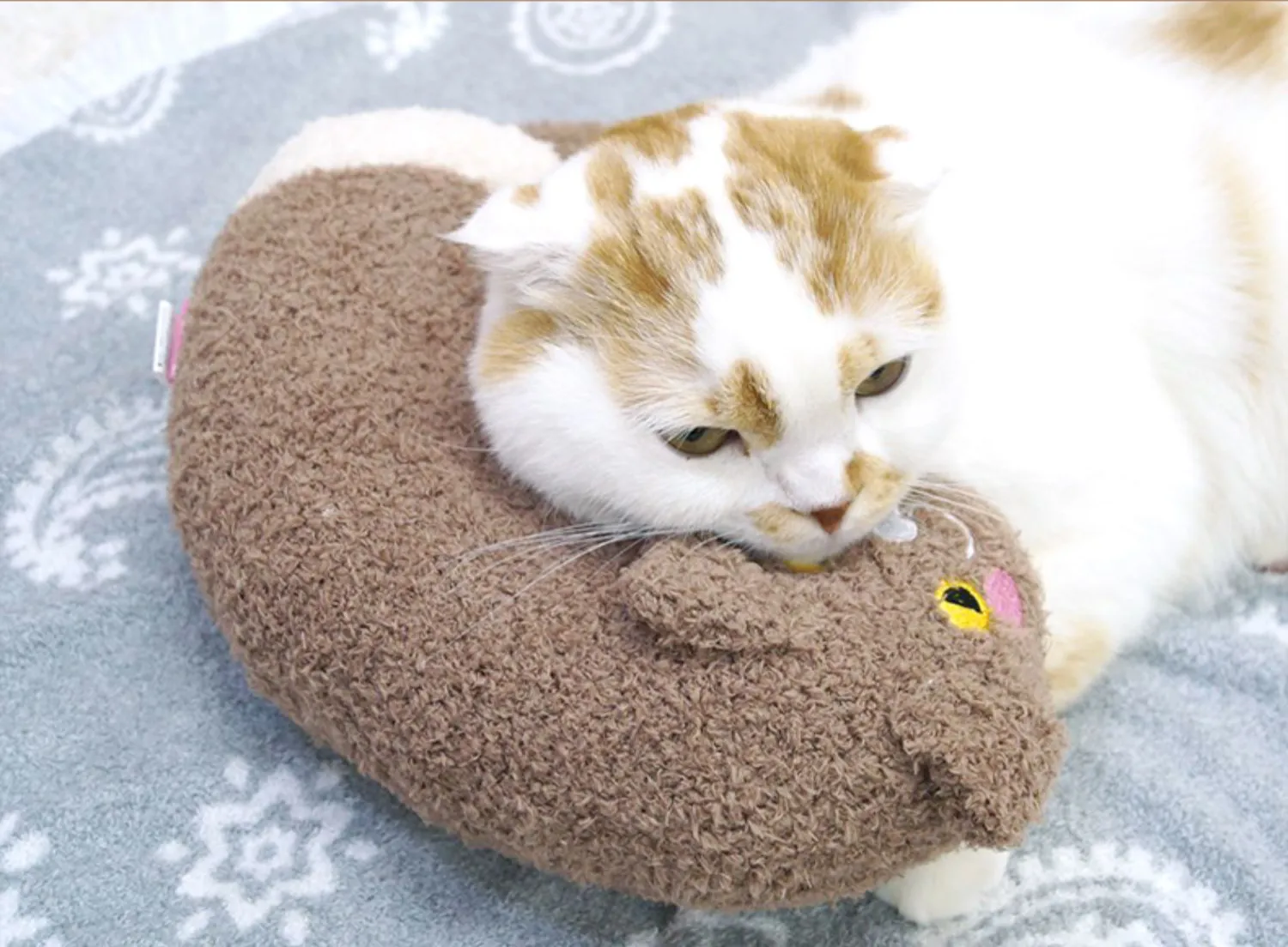 Fluffy Cattyman Pet Pillow