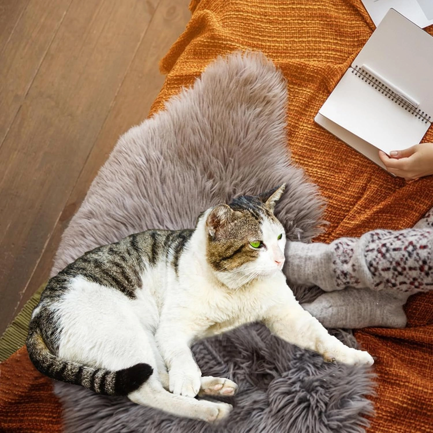 Fluffy Dog Cat Bed Mat 19.6x31.4 inch, Washable Soft Plush Faux Fur Warm Area Puppy Pads Blanket for Indoor Pet Sleep Cushion Grey