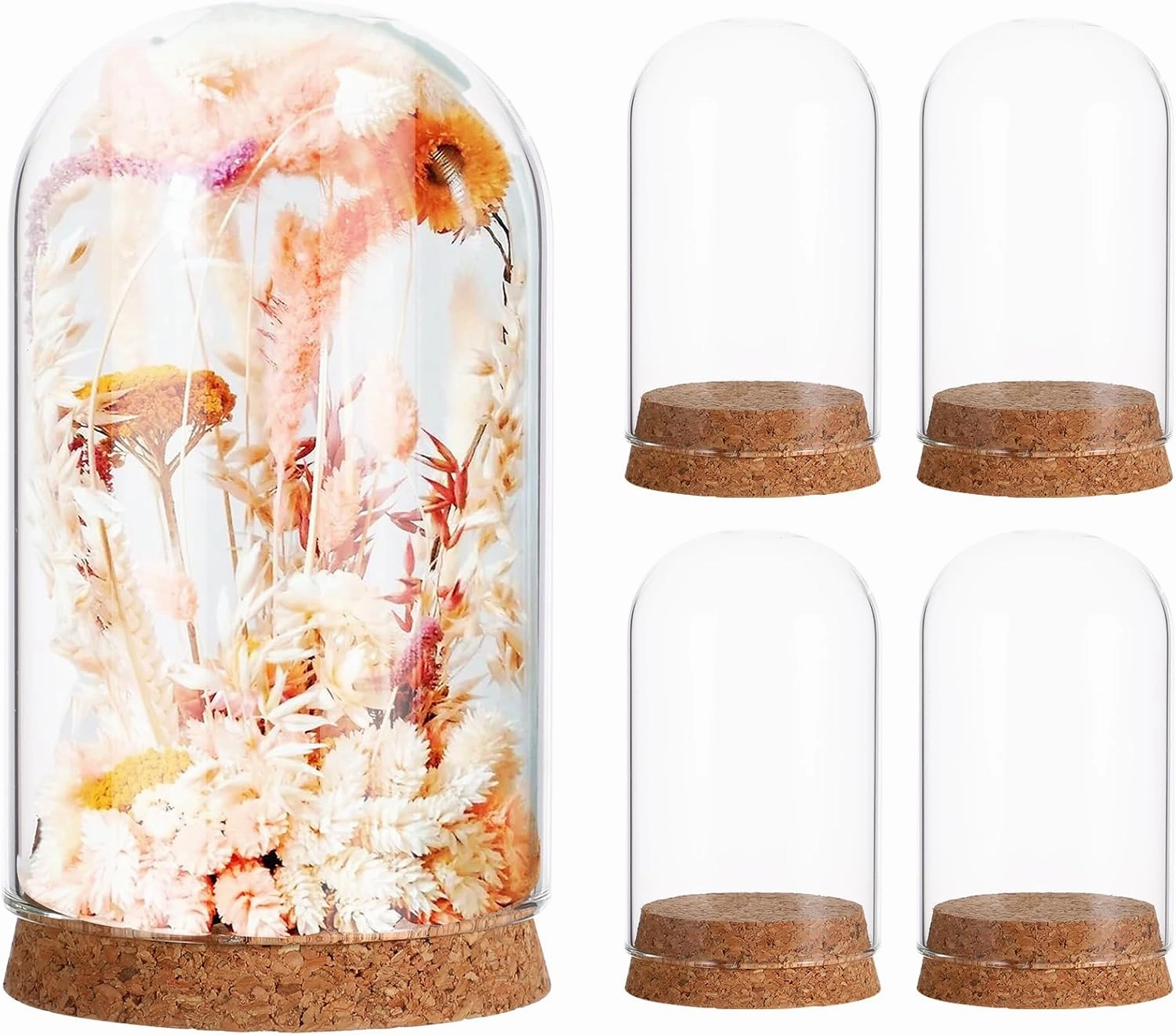 IMIKEYA 5Pcs Dome Glass Cloche Tabletop Centerpiece Cloche Bell Jar Showcase Terrarium Display Dome with Cork Base for Gold Rose Display