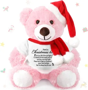 Lenwen Christmas Bear 2025 Night Before Christmas Stuffed Animal Hug Gift Inspirational Get Well Soon Gift Thinking of You Bear for Women Kids Adult, 13.78 Inch(Pink)