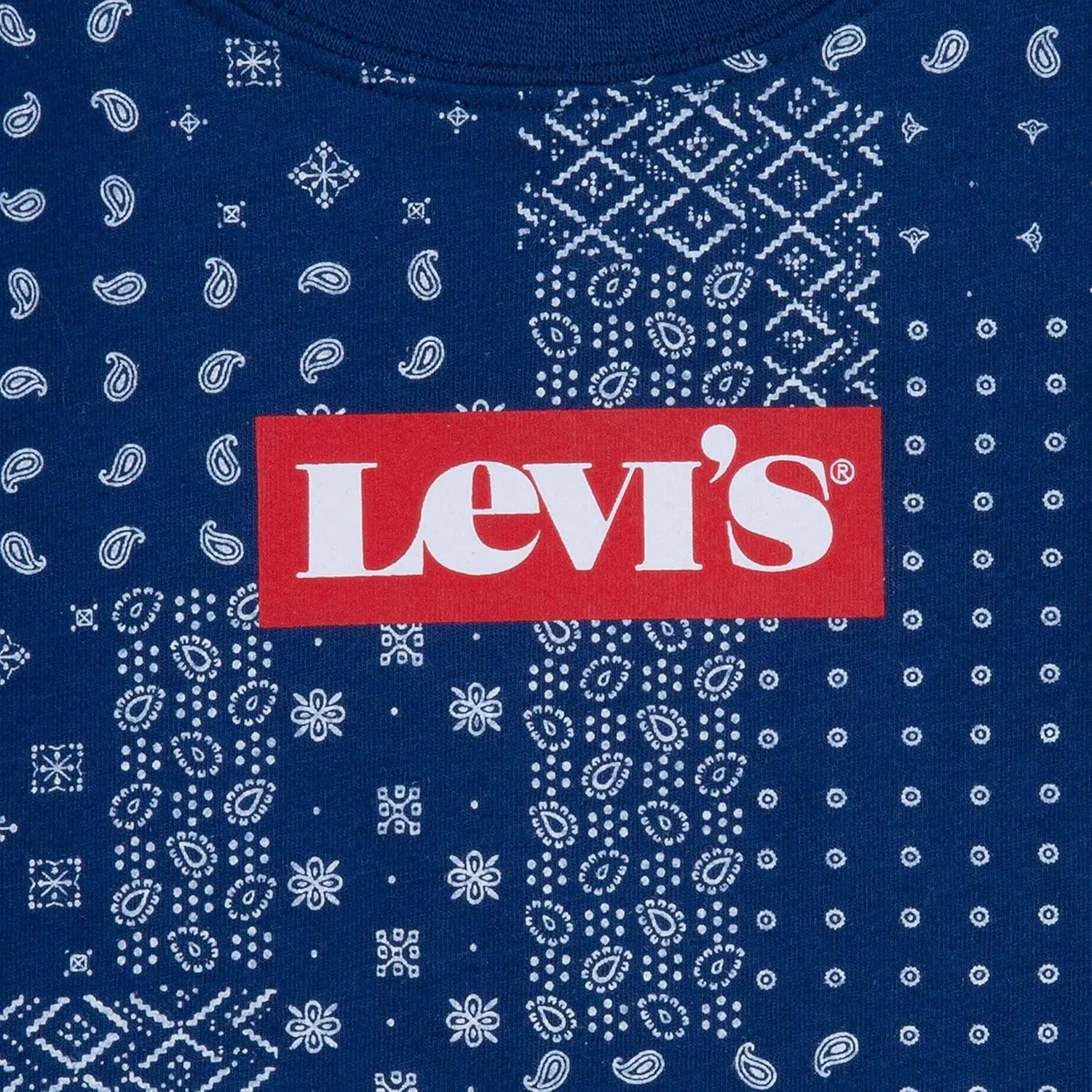 Levi's boys And Baby Graphic T-shirt and Shorts 2-piece Outfit Set