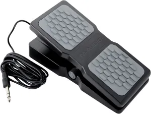 M-Audio EX-P | Universal Expression Pedal for Keyboards, MIDI Keyboards/Controllers and Supported Guitar Effects Pedals