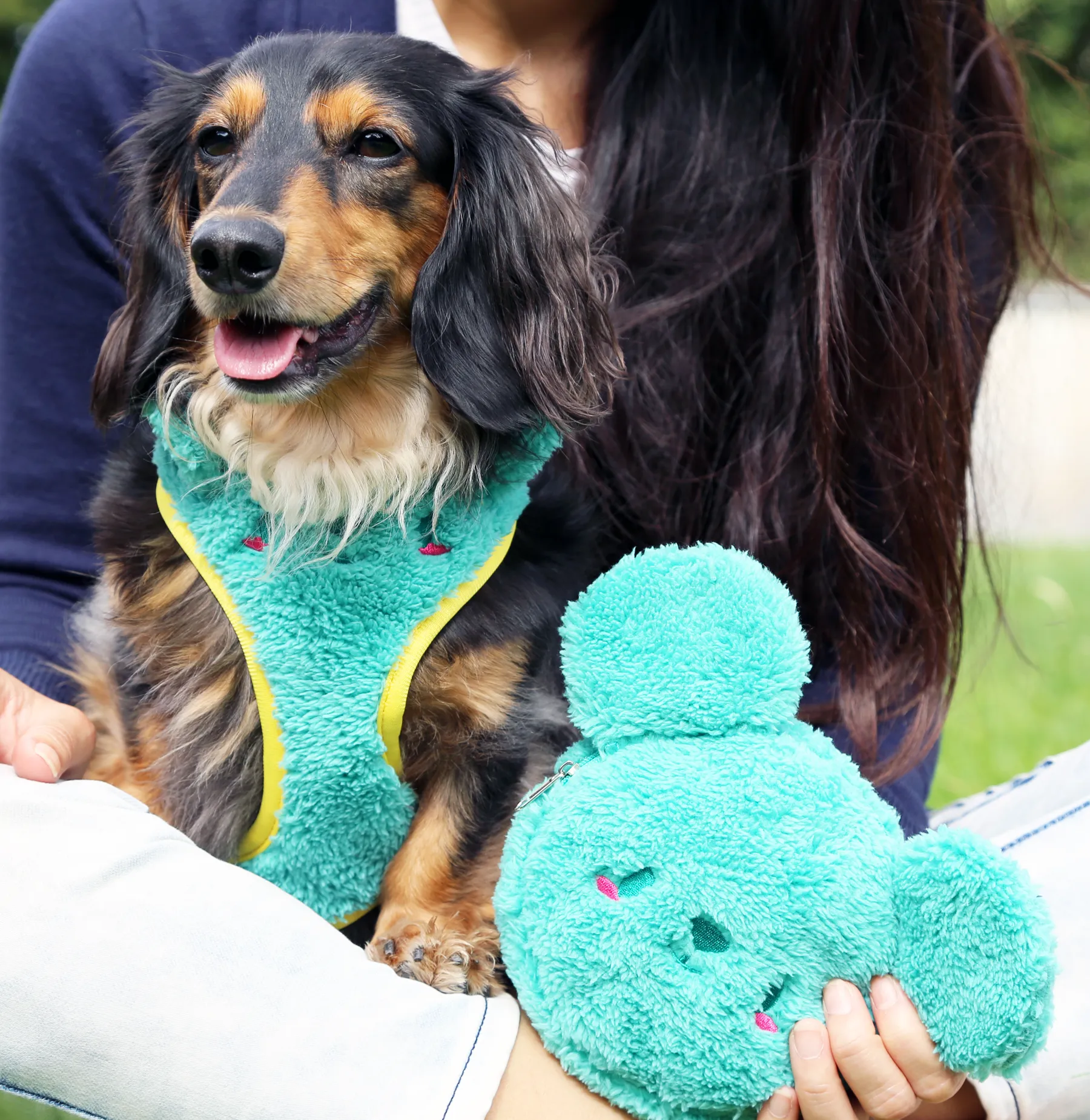 Matcha-kuma harness •ᴥ• ふわふわクマ