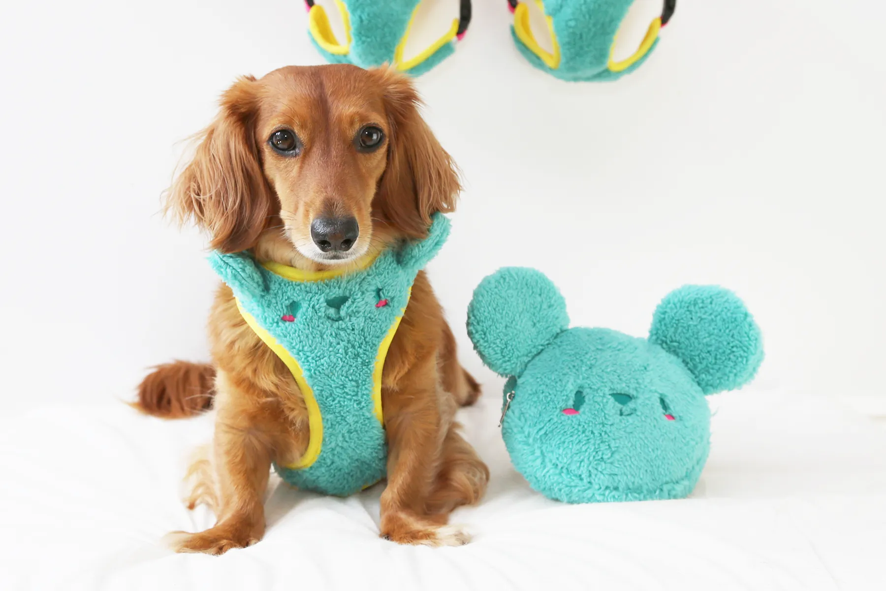 Matcha-kuma harness •ᴥ• ふわふわクマ