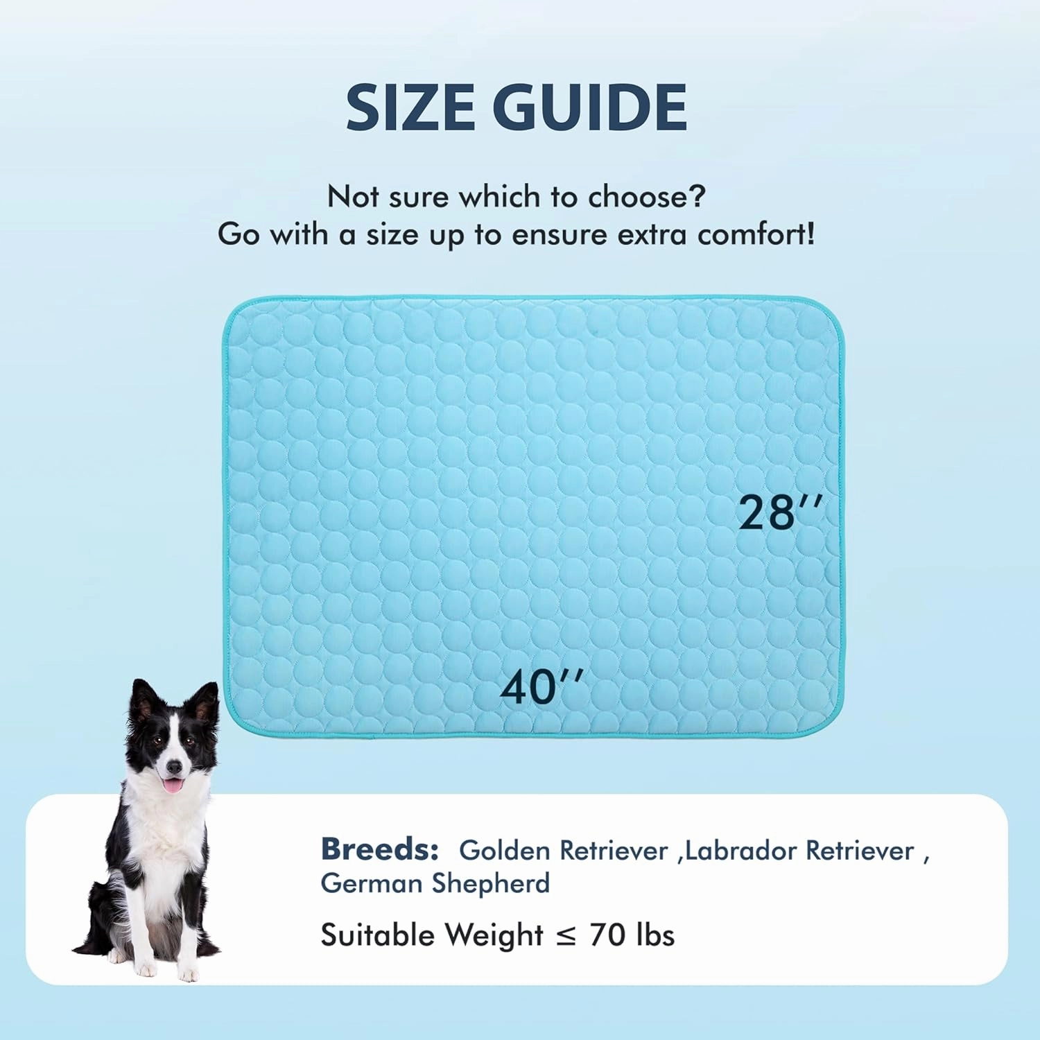 MICROCOSMOS Summer Cooling Mat & Sleeping Pad- Water Absorption Top, Materials Safe, Easy Carry, EZ Clean. Keep Cooling for Pets, Kids and Adults.(Blue, 40" x 28")