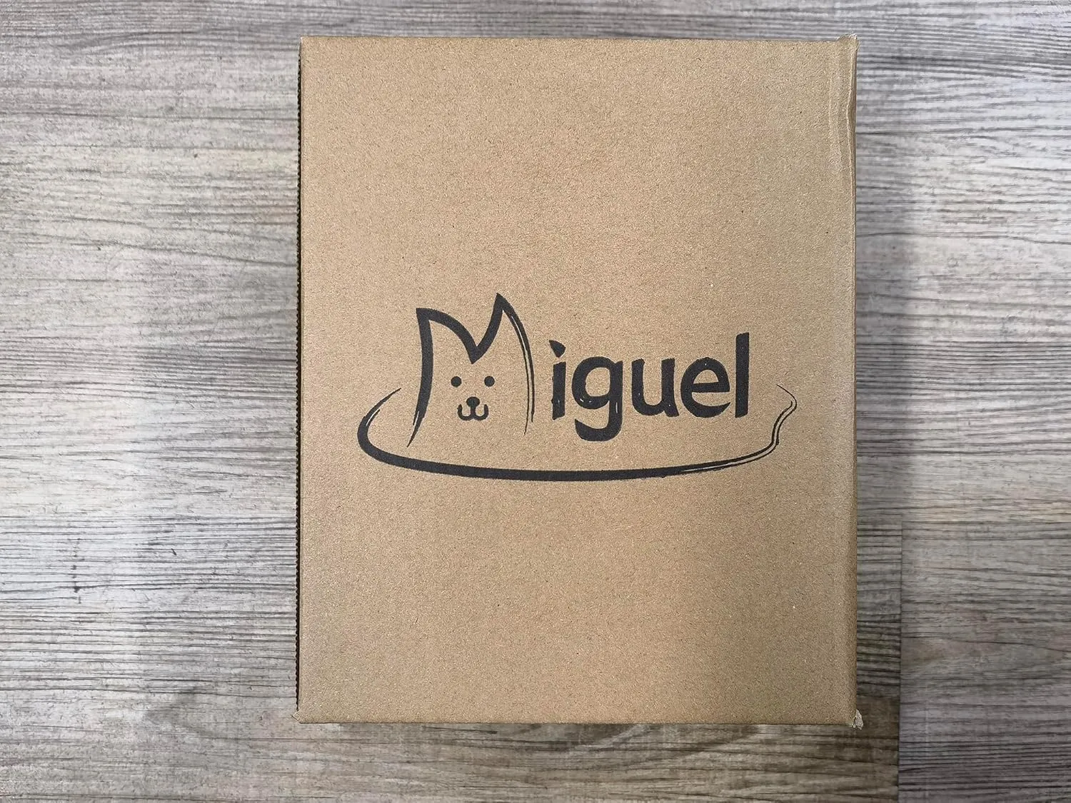 Miguel Dog Bed with Removable Cushion/Pillow for Medium Small Dogs, Washable Pet Bed with Side Easy to Wash Puppy Bed, Large Rectangle Cat Bed for Indoor Cat with Anti-Slip Bottom, Gray 30 Inch