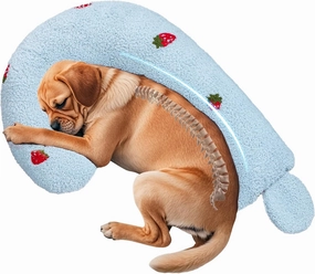 Mity Rain Question Mark Dog Calming Pillow for Spin, Ultra Soft High Density Neck Pillow for Joint Relief Sleeping Improve, Pet Calming Toy for Small/Medium/Large Dogs (Large)