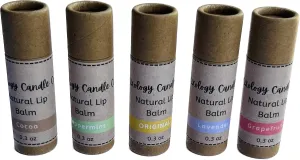 Natural Lip Balm Set of 5- Original, Mint, Cocoa, Lavender, Grapefruit - 5 Pack